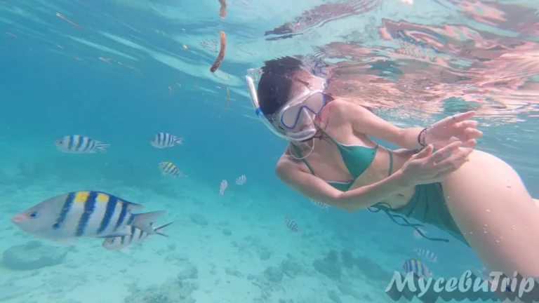 Woman snorkeling with schools of tropical fish in crystal clear water