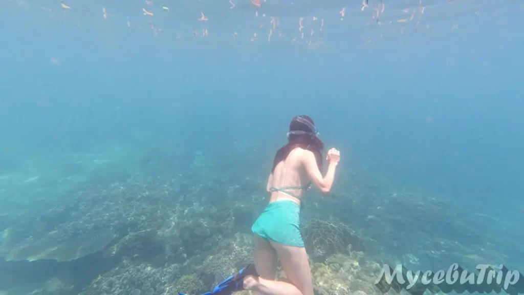 Woman freediving in a bikini during a Cebu island hopping tour
