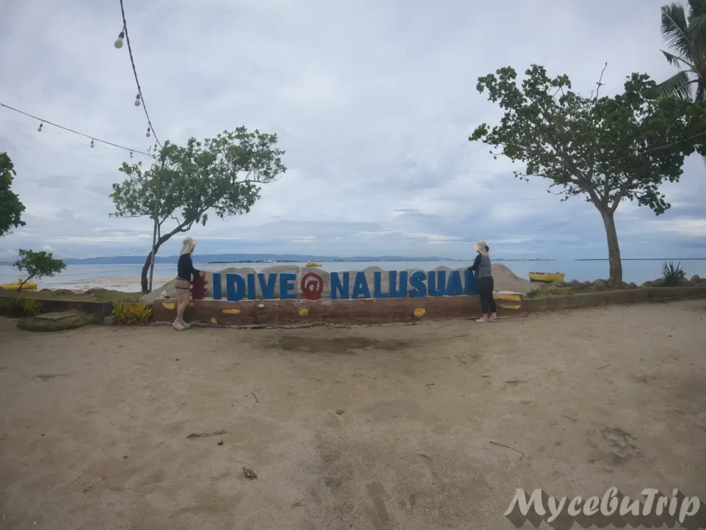 Nalusuan Island