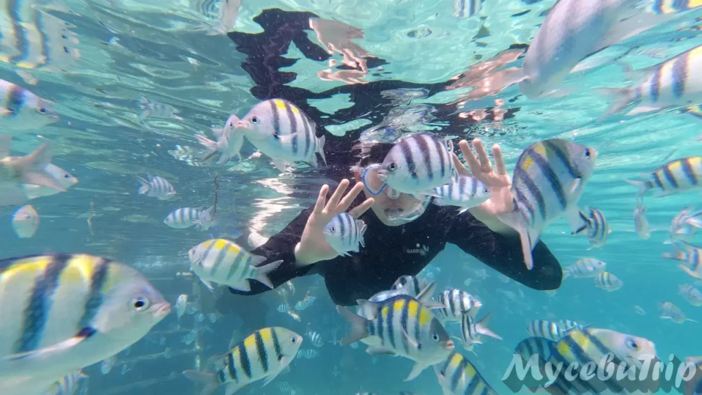 Man surrounded by fish while snorkeling at Nalusuan Marine Sanctuary
