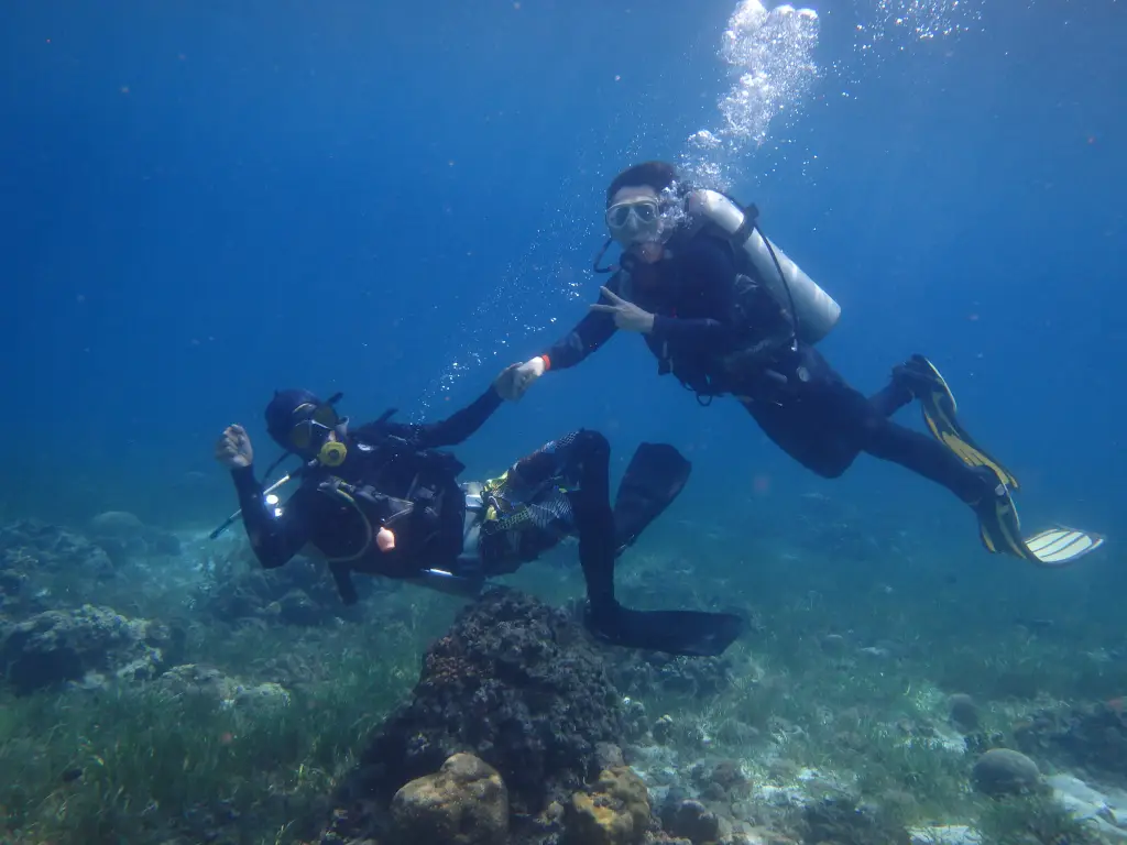 Professional instructor guiding a beginner diver hand-in-hand in Cebu waters