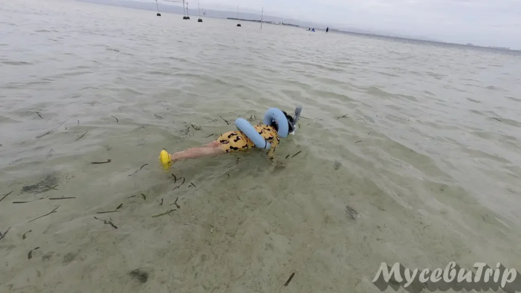 A child wearing a swimming tube and snorkeling gear playing in the shallow waters of Nalusuan.