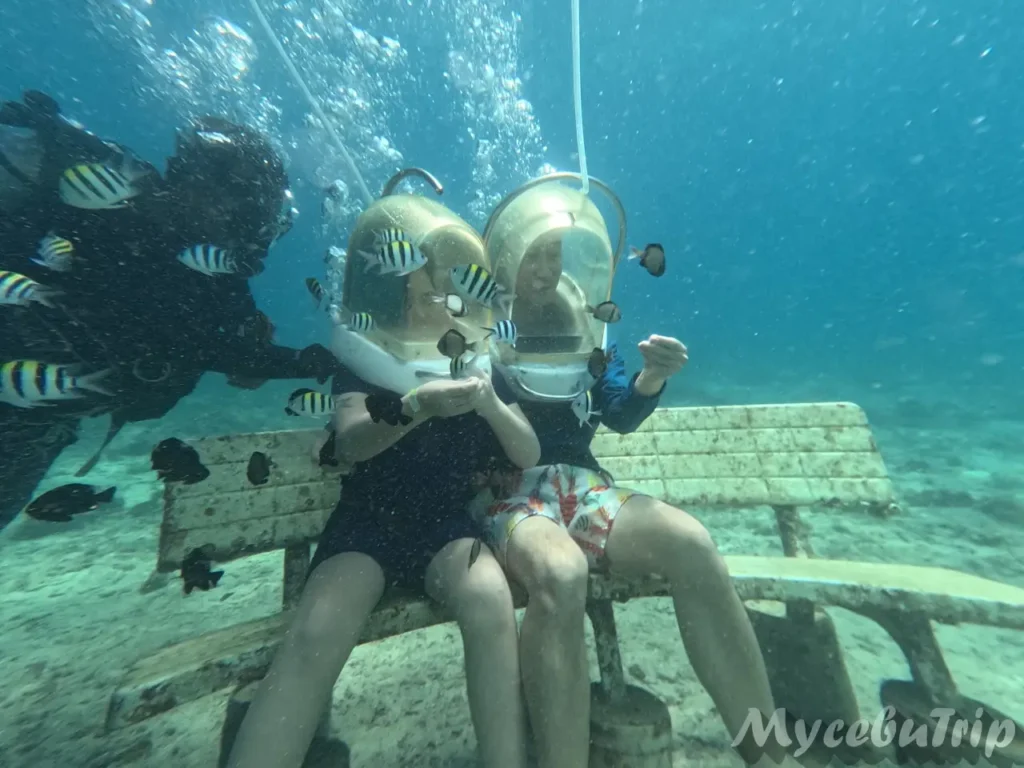 Couple sitting on an underwater bench feeding fish togethe