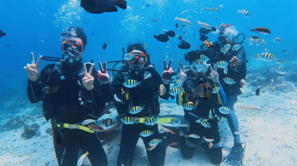 Beginners surrounded by schools of tropical fish during a dive at Kontiki Point