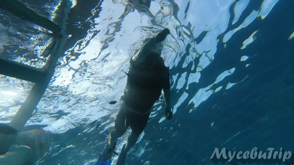 Underwater silhouette of a snorkeler and sunlight at Hilutungan