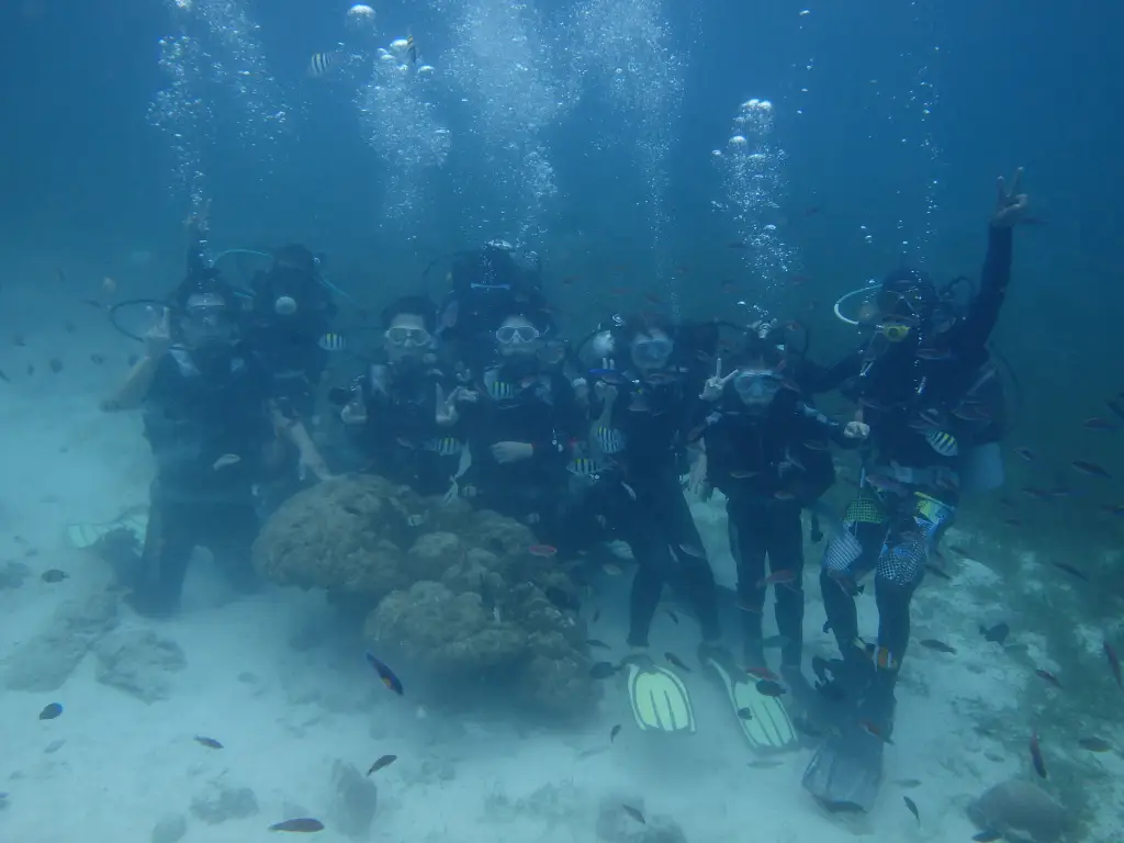 Group of tourists posing underwater during their first scuba diving experienc
