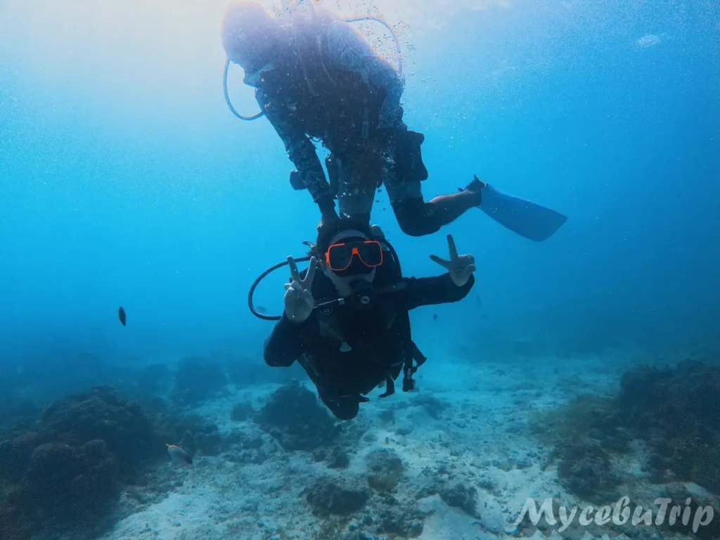 Dive Master guiding beginners in Cebu ocean