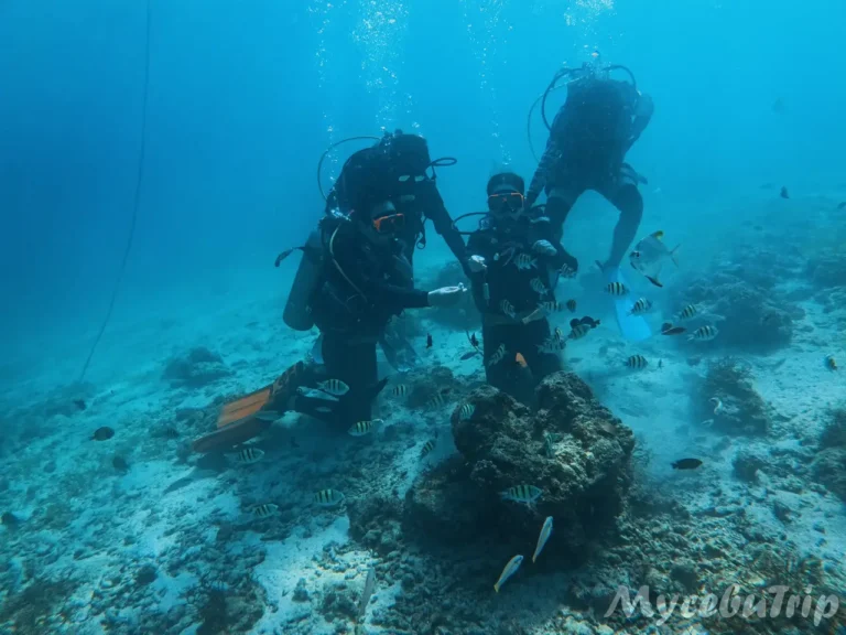A Couple’s Story of Discover Scuba Diving in Cebu