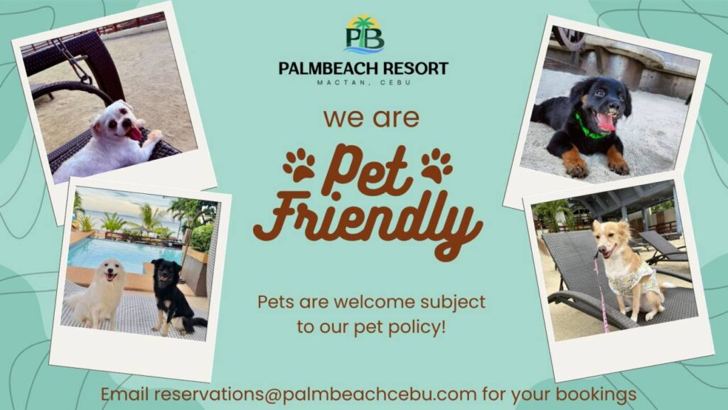 A promotional banner for Palm Beach Resort Mactan, Cebu, with the central message 'we are Pet Friendly' in brown text with paw prints. Four polaroid-style photos feature dogs in various resort settings: a small white dog in a swing, a white and a black dog by the pool with a sea view, a black dog on the sand, and a brown dog in a shirt on a sunbed. Text at the bottom states, 'Pets are welcome subject to our pet policy!' and provides the booking email: reservations@palmbeachcebu.com.